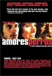 logo Amores perros