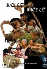 logo Gato negro, gato blanco