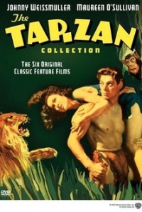 logo Tarzn y su compaera