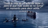 Toda la vida es un acto de dejar ir, pero lo que ms duele es no tomar un momento para decir adis.