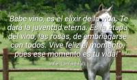 Bebe vino, es el elixir de la vida. Te dar la juventud eterna. Es la etapa del vino, las rosas, de embriagarse con todos. Vive feliz el momento, pues ese momento es tu vida!