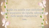 Quin no suea con satisfacer cada espasmo de lujuria, alimentar toda ansia depravada.